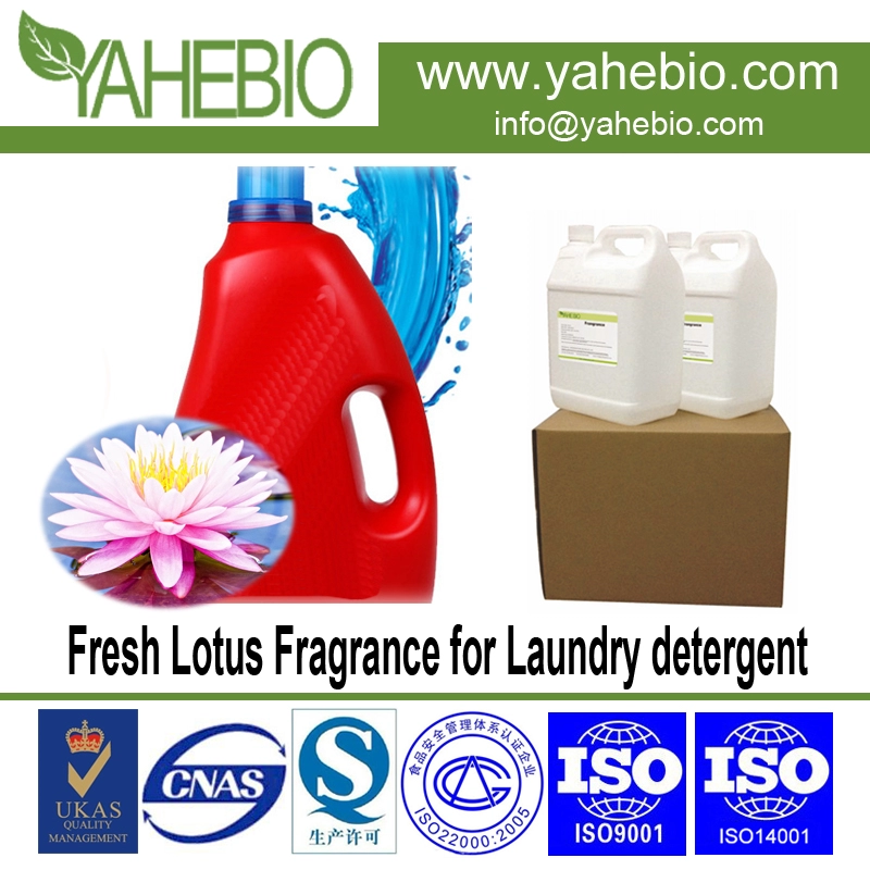Fragrance Lotus Segar untuk Deterjen Laundry