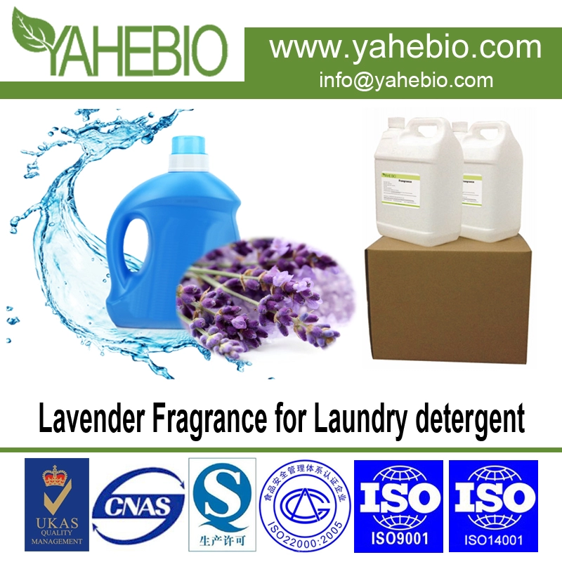 Aroma lavender untuk deterjen laundry