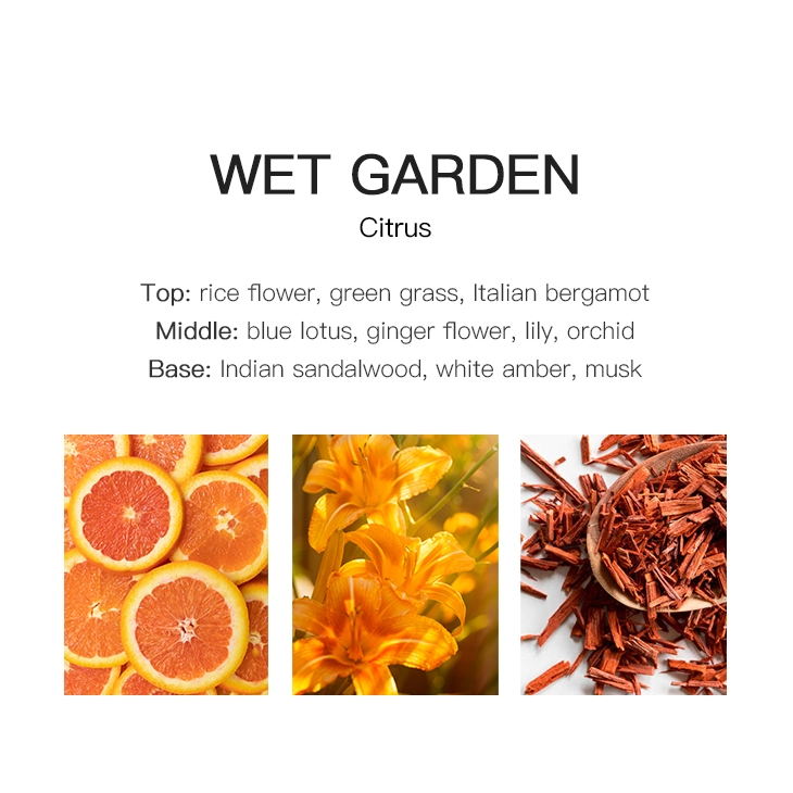 Wet Garden Floral Fragrance Minyak Aroma Aroma Esensial Udara