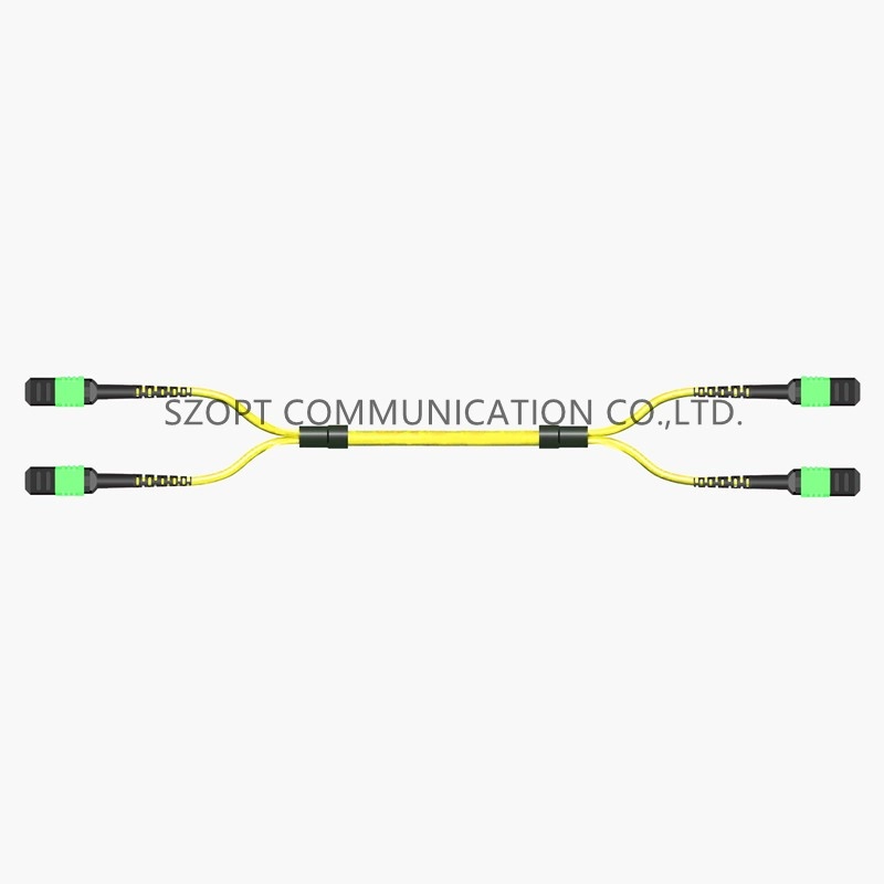 Kabel Batang MPO/MTP-MTP/MTP SM MM OM3 OM4 OM5 24-144core