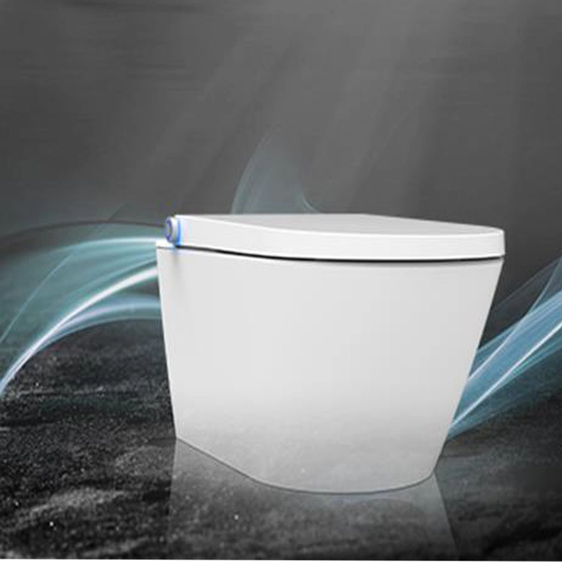 Cerdas DUSCH WC shower bidet Kursi toilet dudukan toilet bidet putih dalam Desain tanpa bingkai