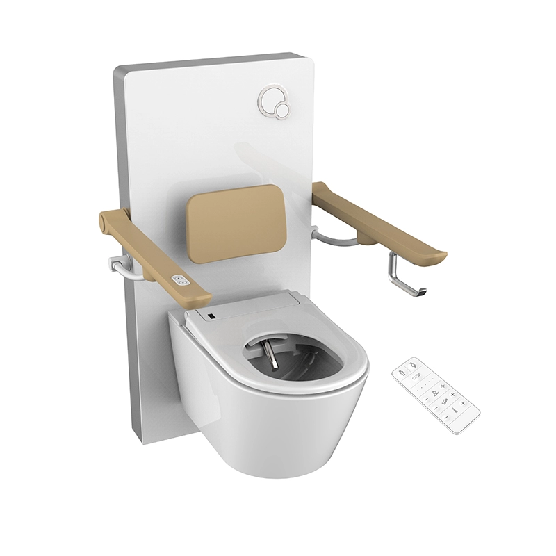 Perawatan lanjut usia Penyandang Cacat Peralatan kesehatan Pengangkat Toilet Listrik
