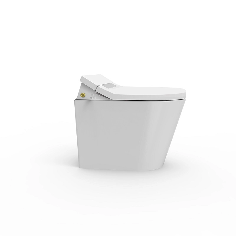 Kursi shower sertifikat CE douche WC dengan tangki kabinet
