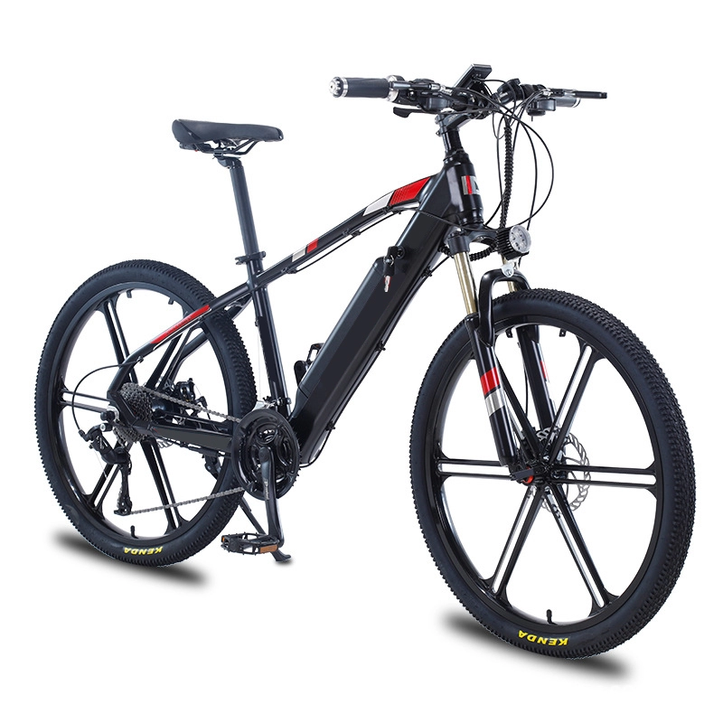 36 V 48 V 250 W pedal assist e power baterai siklus man 350 W sepeda listrik 750 W dewasa ebike sepeda gunung listrik terbaik untuk dijual