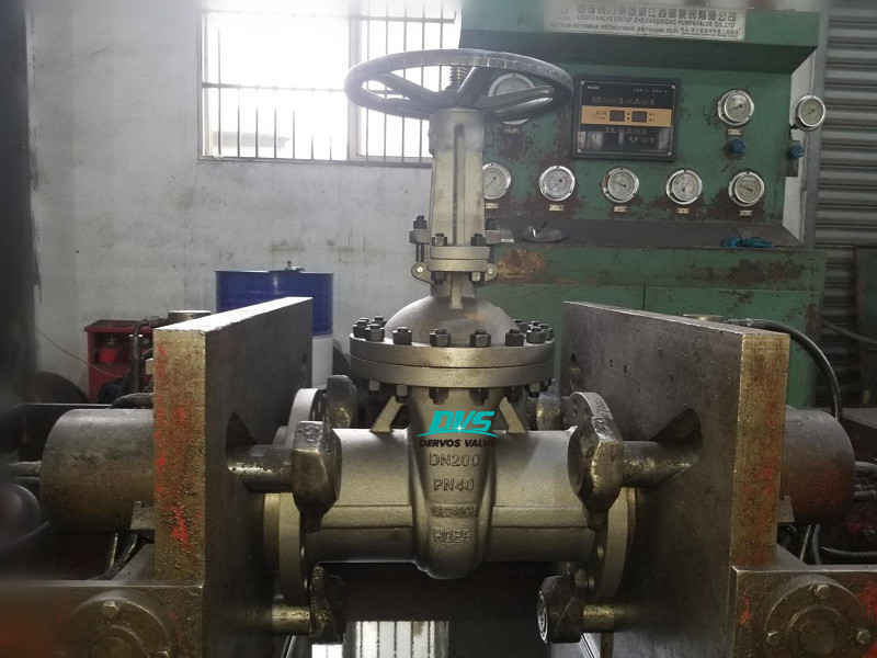 DN200 1.0619 Gate Valve