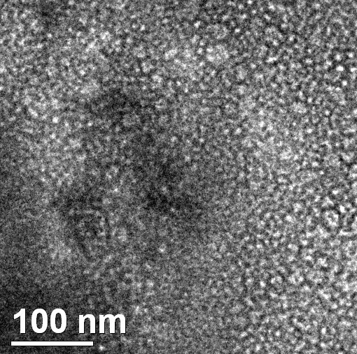 Hidrofilik SiO2 Silikon Dioksida Nanopartikel yang larut dalam air