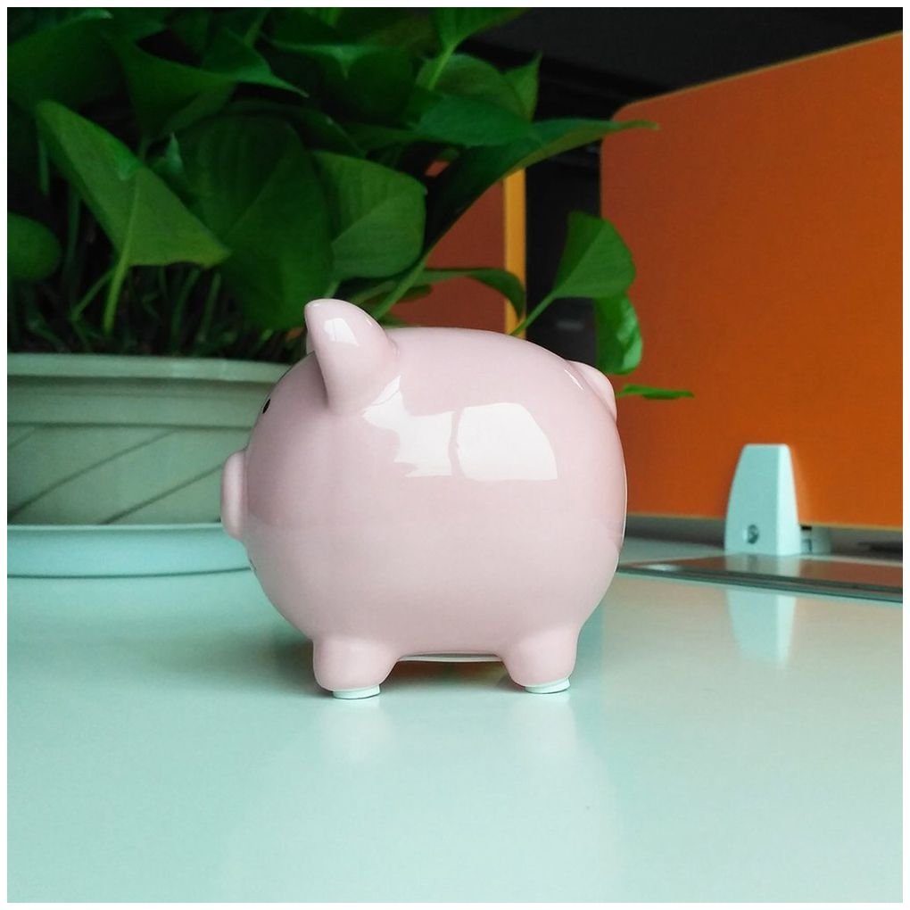 piggy bank