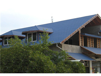 Fish Scale type asphalt shingle roof tile