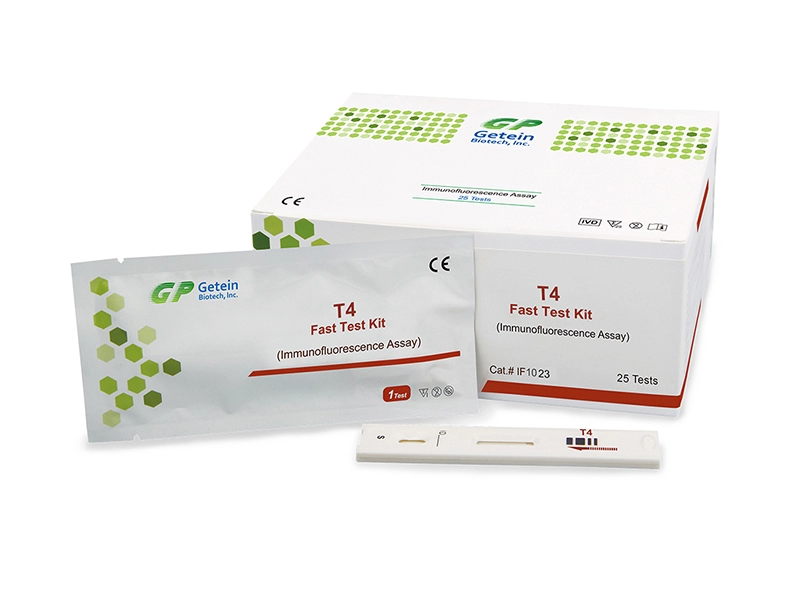 Kit Tes Cepat T4 (Pengujian Imunofluoresensi)