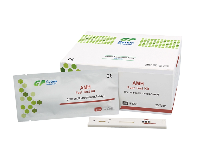 Kit Tes Cepat AMH (Pengujian Imunofluoresensi)