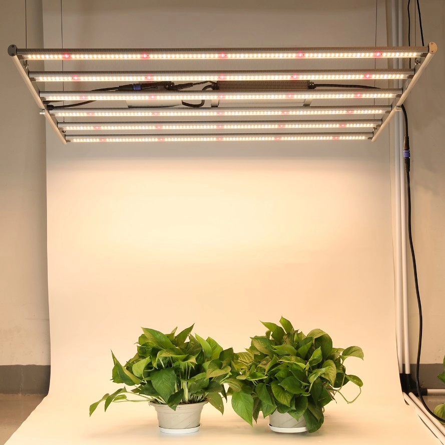 600W Lipat Veg Flower LED Grow Lights dengan driver eksternal