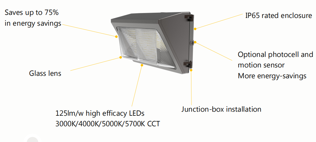 Lampu paket dinding standar 50W