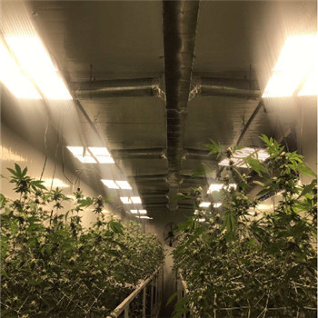 Lampu pertumbuhan tanaman led efisiensi tinggi dalam ruangan IP65 tahan air