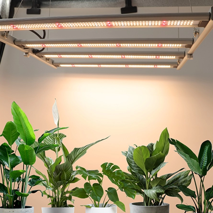 Mini led grow light untuk aplikasi tenda dengan 240watt