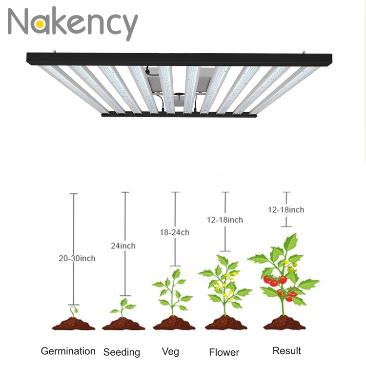 1200w 10 lampu tanaman LED yang dapat dilepas untuk pertumbuhan sayuran