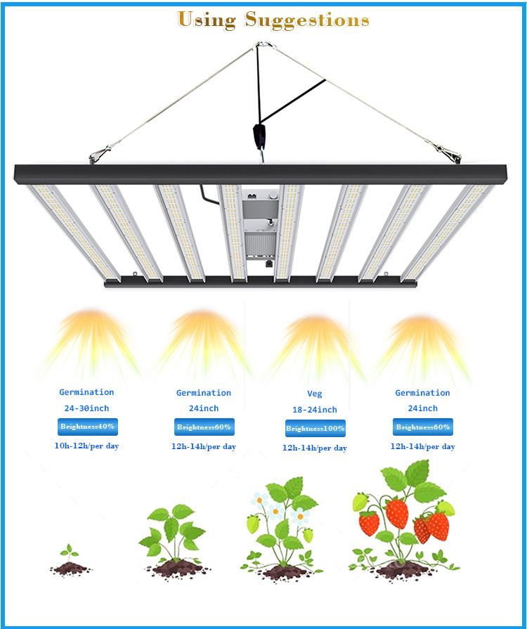 detachable grow light