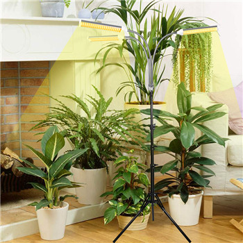 Lampu tanaman tripod digunakan di rumah