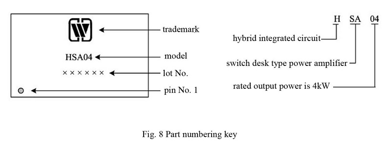 PWM amplifier (HSA04)