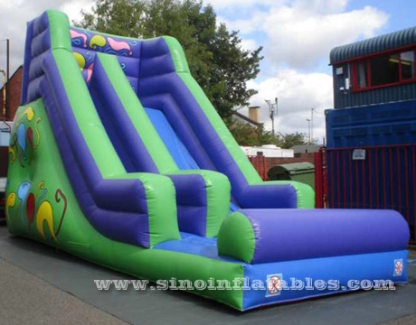 Slide tiup Eidolon kelas komersial untuk pesta outdoor anak-anak
