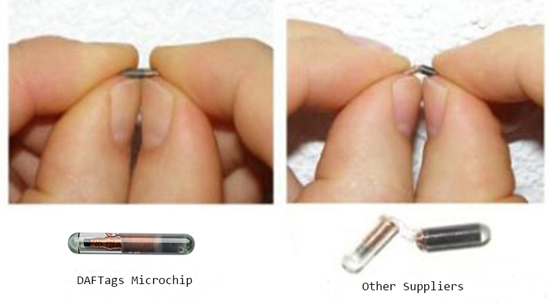 Microchip ID Hewan Peliharaan RFID