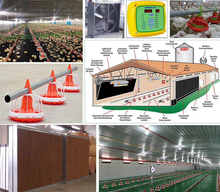 Struktur Baja Prefab Peternakan Ayam